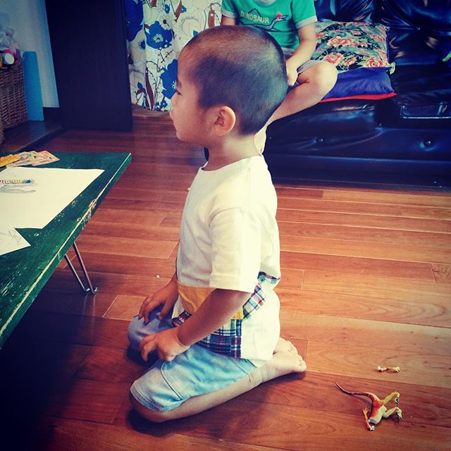 正座の姿に無駄がない