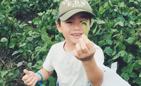 曲がった枝豆＠長男