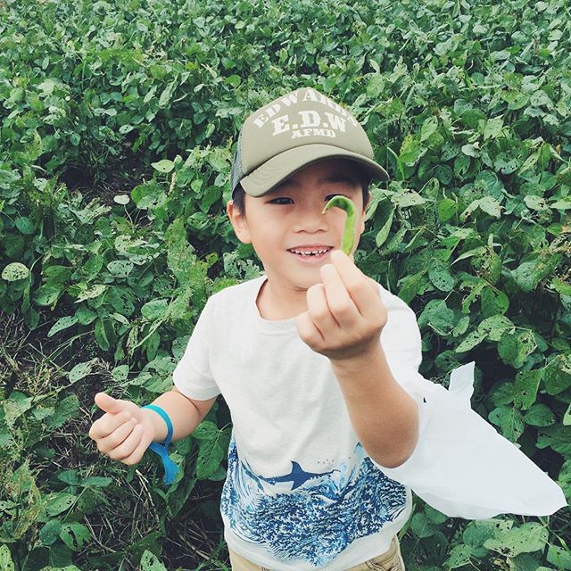 曲がった枝豆＠長男