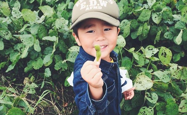 枝豆取れたよー！＠次男