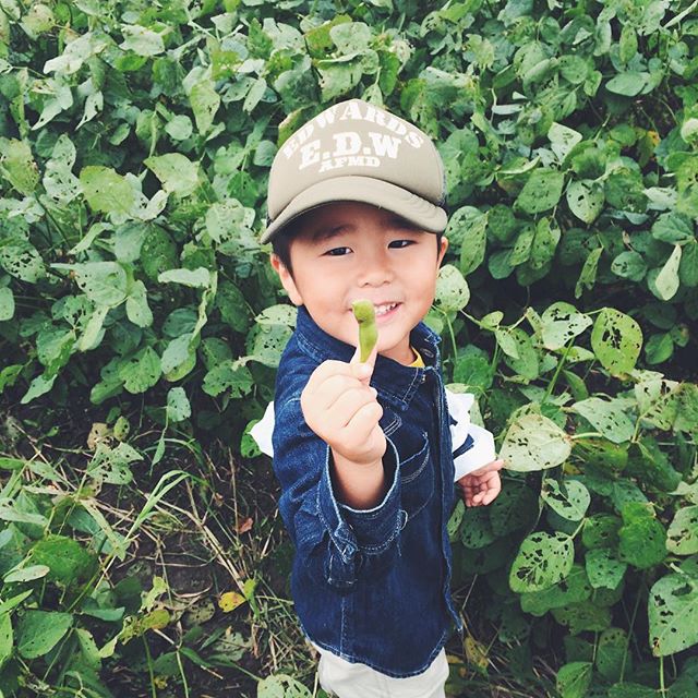 枝豆取れたよー！＠次男